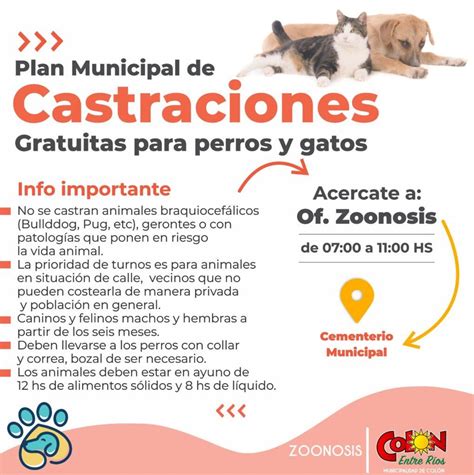 Campaña municipal de castraciones gratuitas para perros y gatos