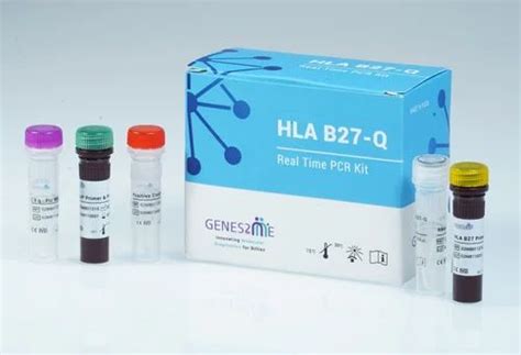 Hla B27 Q Real Time Pcr Kit At Rs 56250kit Real Time Pcr Test Kits