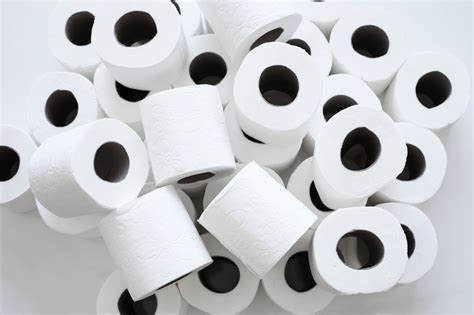 9 Amazing Toilet Paper For 2023 Storables