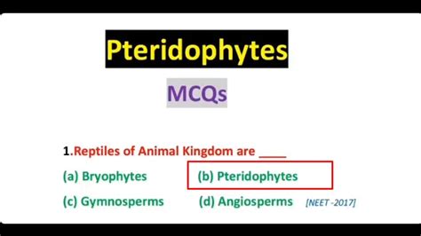 Pteridophytes Mcqs Neet Mcqs For All Competitive Exams Youtube