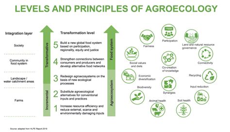 GIZ Publishes Comprehensive Paper On Agroecology A Path To Sustainable