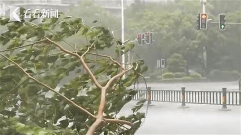 “杜苏芮”将北上 京津冀豫需警惕极端暴雨影响 搜狐大视野 搜狐新闻