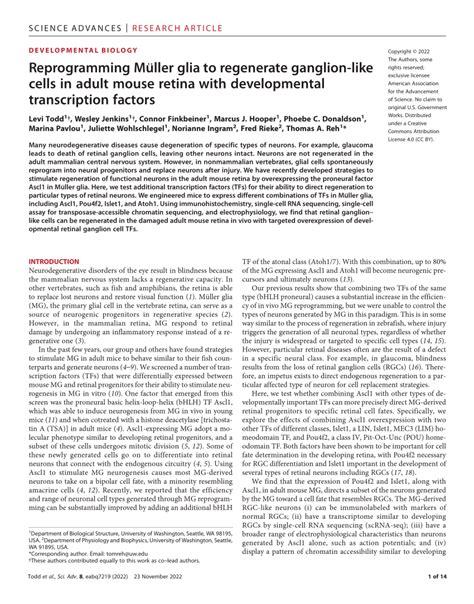 Pdf Reprogramming M Ller Glia To Regenerate Ganglion Like Cells In