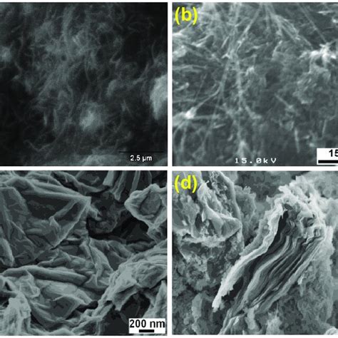 Sem Images Of A Cnts Cooh B Cnts Hap C Graphene Oxide And D