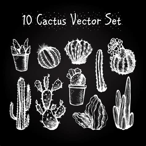 Conjunto De Cactus Aislados Dibujados A Mano 4577338 Vector En Vecteezy