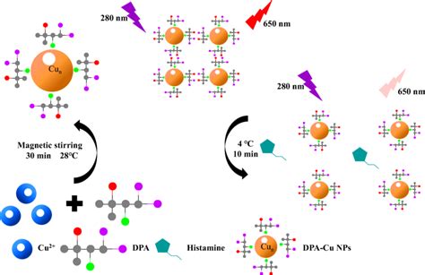 Schematic Representation Of Copper Nanoparticles For Histamine