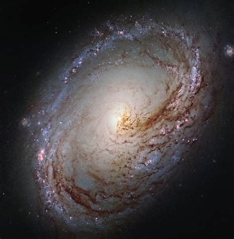 Hubble Spies On Spiral Galaxy Over 35 Million Light Years Away