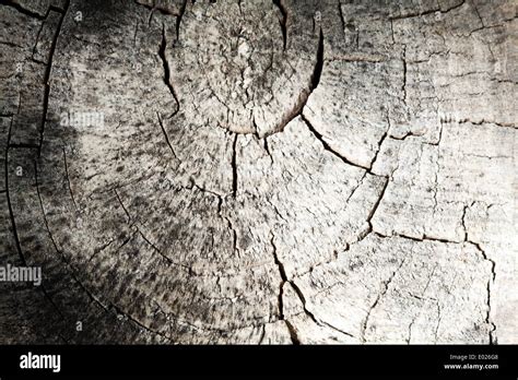 Old Cracked Wood Texture Stock Photo Alamy