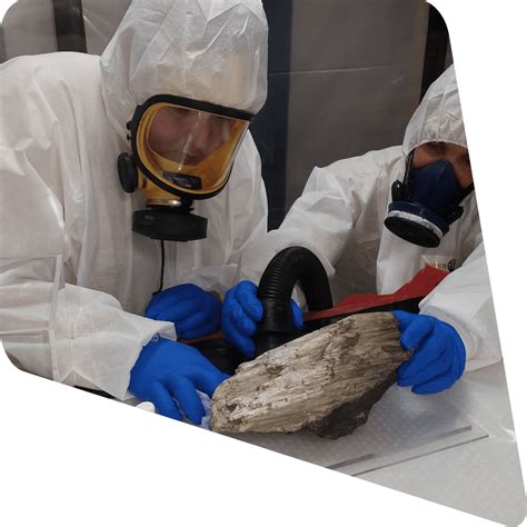 Asbestos In Artifacts And Antiques Kadec Asbestos Management