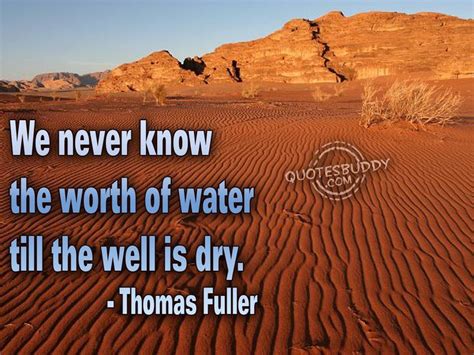 The worth of water. | Water quotes, Environment quotes, Environmental ...