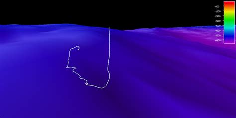 The Dive Track White Line Taken By Rovs Deep Discoverer And Seirios