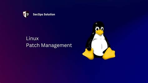 Linux Patch Management Secops Solution