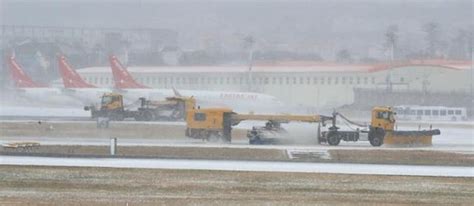 한파에 고립 직전인 제주항공기 무더기 결항 네이트 뉴스