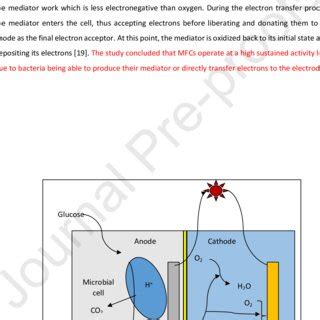 Schematic Diagram Illustrating The Flow Of Electron To The Anode