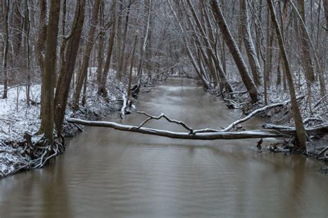 Winter Wanders in Fort Wayne, Indiana | Visit Fort Wayne