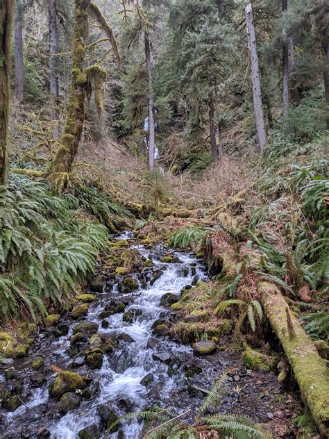 Mineral Falls In Hoh Rainforest Wa Usa Rhiking