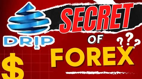 drip network  drip price   forex shark drip secret youtube