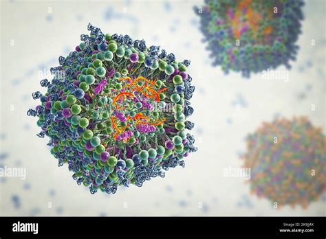 Nanopart Culas A Base De L Pidos Fotograf As E Im Genes De Alta