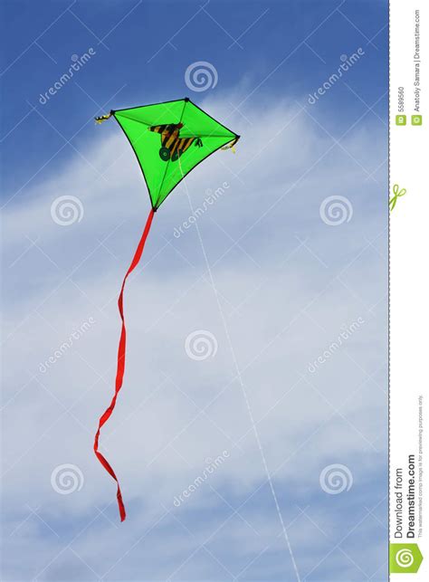 Green Kite In The Sky Stock Photo Image Of Yellow Nose 5589560