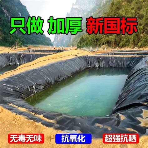 鱼塘防渗膜鱼池护坡防水布养殖土工膜复合黑色塑料布加厚防渗地膜虎窝淘