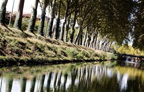 Toulouse Les Notes De Nougaro La Rescousse Du Canal Du Midi Et De