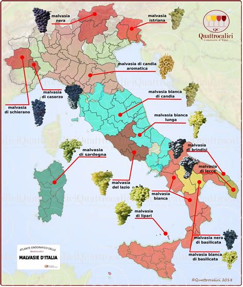 Le Malvasie DItalia Quattrocalici Vino Italiano Guida Dei Vini