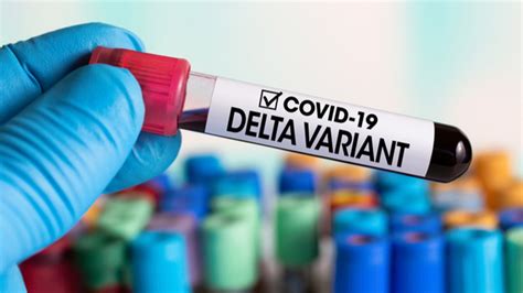 Covid Le Variant Delta Serait Plus Dangereux Selon Une Nouvelle