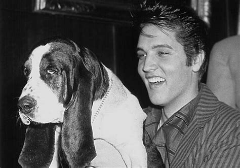 Elvis Presley