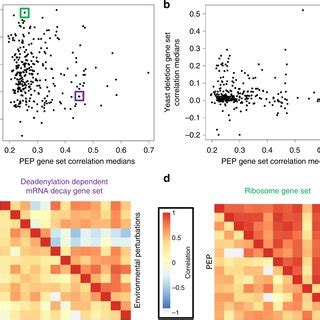 Phylogenetic Expression Profiling Reveals Coordinated Evolution Within