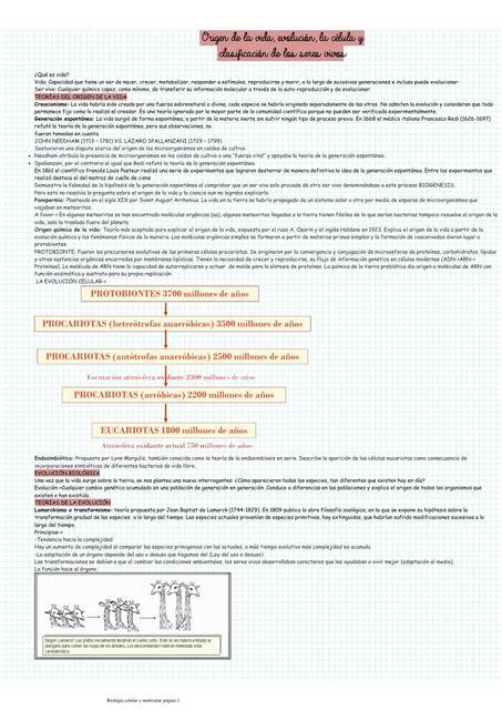 Origen De La Vida Evoluci N La C Lula Y Clasificaci N De Los Seres