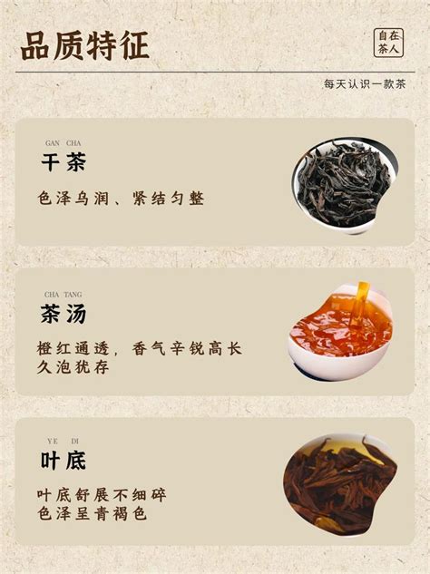 一文读懂肉桂：武夷岩茶入门必饮茶！香不过肉桂？肉桂的品质特征？肉桂的冲泡方法？三坑两涧是什么？肉桂名字由来？看完这篇文章全知道了！ 知乎