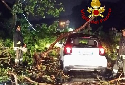 OSTIA ALBERO CADE SU AUTO DUE RAGAZZE FERITE Ultime Notizie 90 Gli