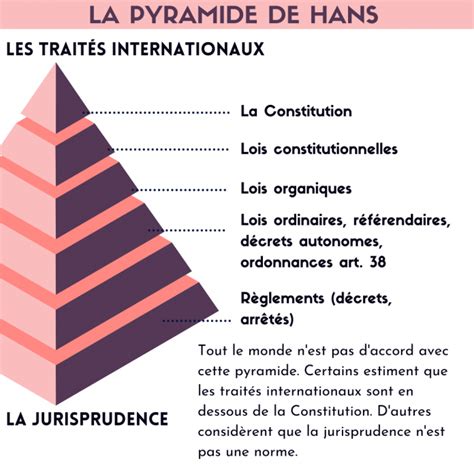 La constitutionnalisation de lIVG nous protège t elle vraiment