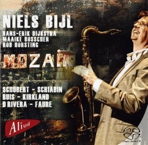 Niels Bijl Mozaik CD Niels Bijl CD Album Muziek Bol