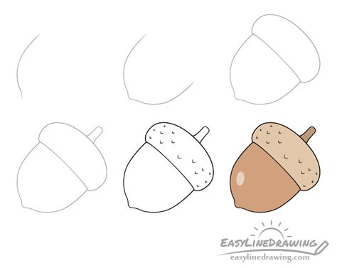 How To Draw An Acorn Step By Step Easylinedrawing