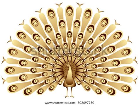 Golden Peacock Raises His Feathers Vector Stock Vector Royalty Free 302697950 Shutterstock