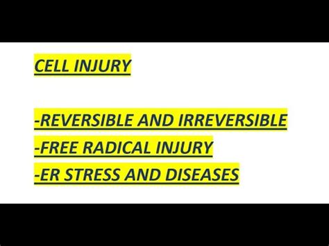 Cell Injury Reversible And Irreversible Free Radical Injury Er