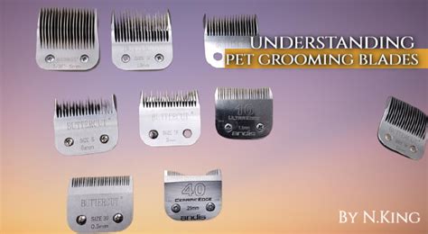 What dog clipper blades to use?(with photos of lengths) - Groomer King