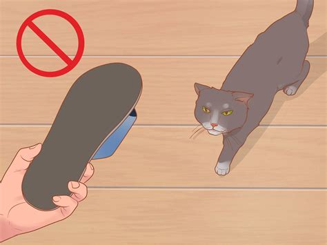 6 Ways To Hold A Cat Wikihow