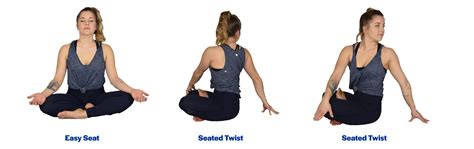 Seated Yoga Poses For Beginners Cabinets Matttroy