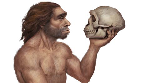 Researchers Name A New Species Of Human Ancestors Science