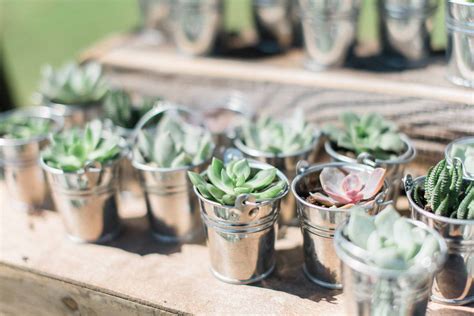 New Wedding Trend - Succulent Wedding Favors