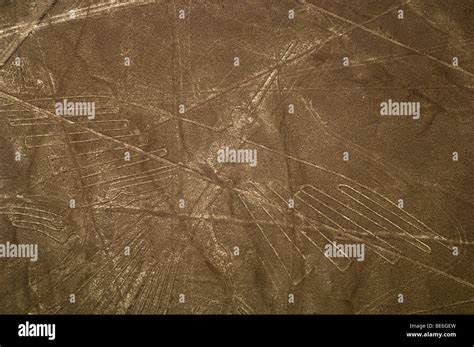 Nazca lines - humming bird hummingbird, Peru Stock Photo - Alamy