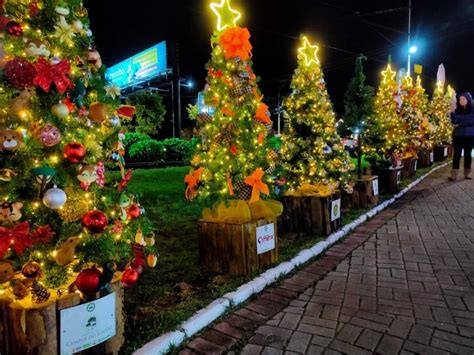 Campos do Jordão celebra 150 anos 5ª Edição do Circuito das Árvores