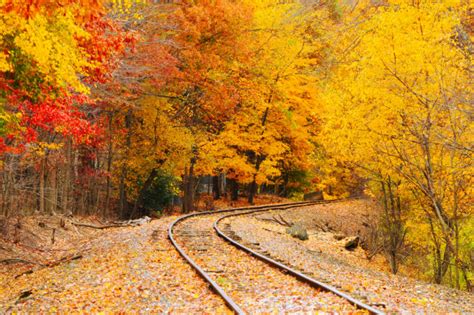 Fall Foliage Train Rides in the Northeast - Your AAA Network