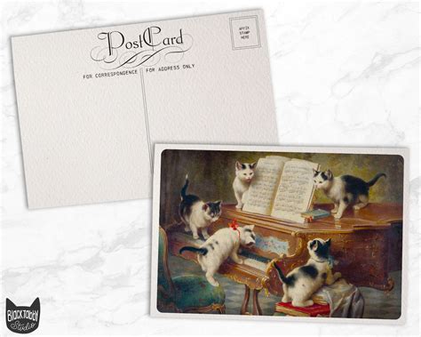 Vintage Cats - 24 Postcards – Black Tabby Studio