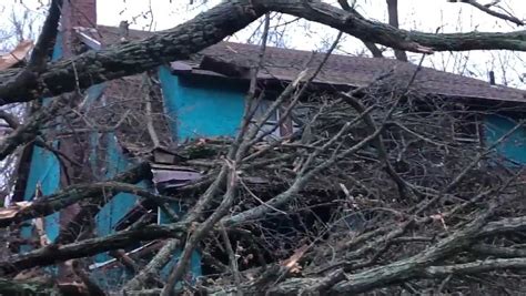 Strong Winds Bring Down Trees And Wires Knocking Out Power In Some