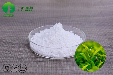 E K Herb Extract Organic EGCG Ec 40 95 Green Tea Extract Powder