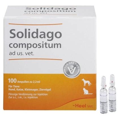 Solidago Compositum Ad Us Vet Ampullen 100 St 100 St Online Kaufen