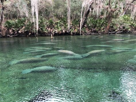 Places For Lazy River Tubing In Florida